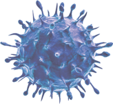 adult-immunization-virus-blue